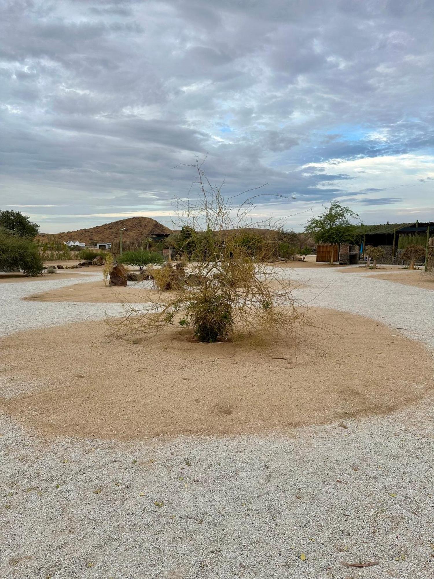 Daureb Isib Campsite And B&B Uis ภายนอก รูปภาพ