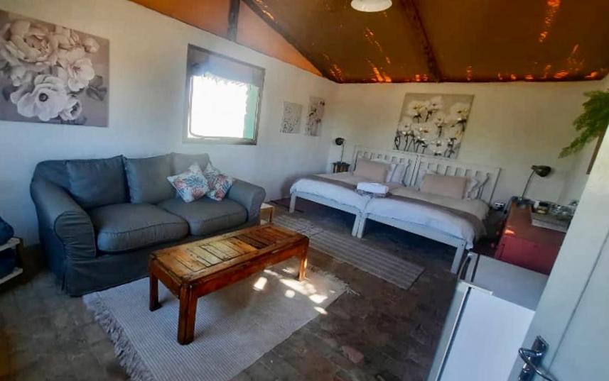 Daureb Isib Campsite And B&B Uis ภายนอก รูปภาพ